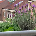 Beautiful Quiet In The Center Of Apartment