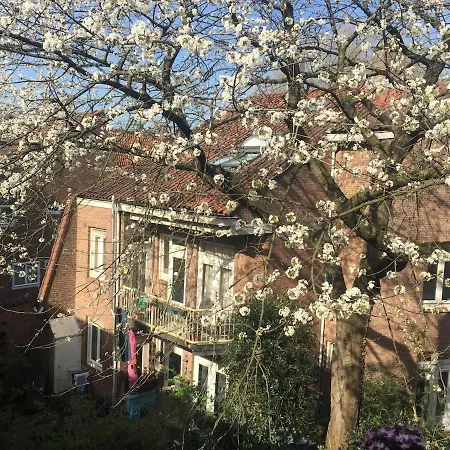 Beautiful Quiet In The Center Of Lejlighed Amsterdam
